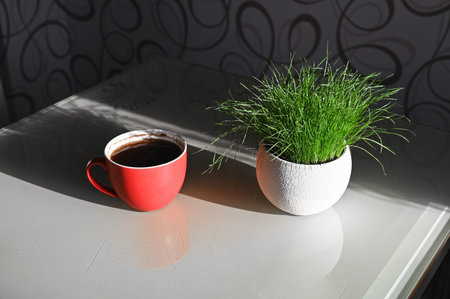 red cup on a table with green grass.の写真素材