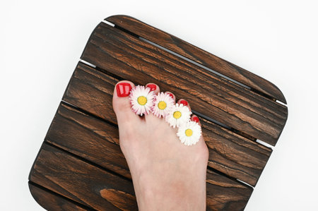 Female legs on wooden background, on isolated background. High quality photo