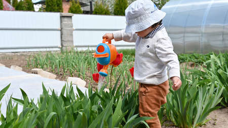 A child watering flowers from a watering can on the street.の写真素材