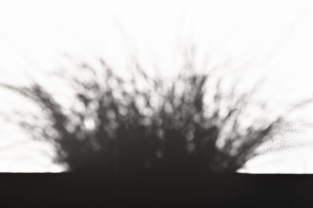 Dark shadow from grass on a white surface