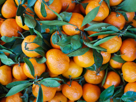 tangerines with leaves close-up. Tangerine farming farm. A lot of mandarin with leaves. View from above.の写真素材