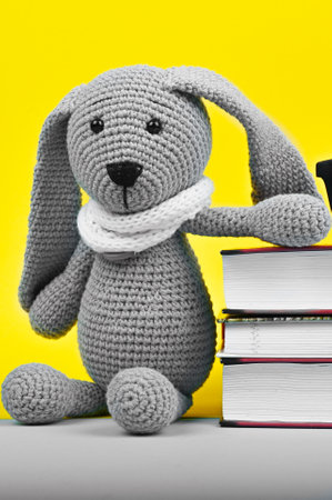 plush hare and school items. On a yellow background. High quality photoの写真素材
