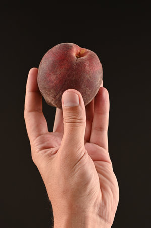 peach in hand on black background. High quality photoの写真素材