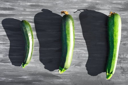 zucchini in the sun with shadow. High quality photoの写真素材