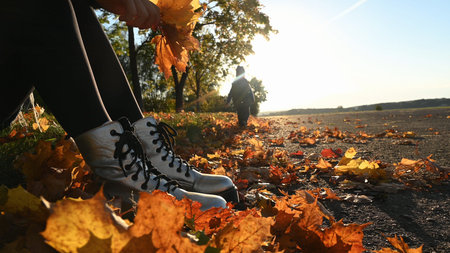 gray shoes on a background of yellow foliage. High quality photo