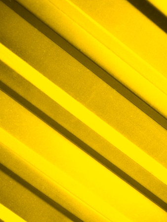 Metal yellow wall close up. presentation of fashion colors 2021. High quality photoの写真素材