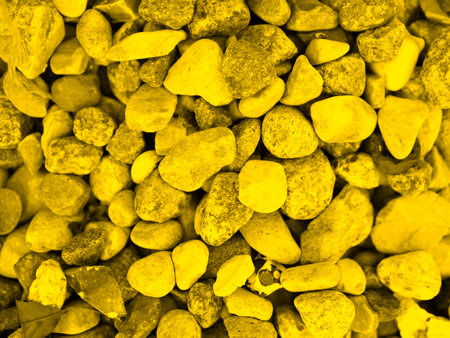 yellow gravel wall close up. presentation of fashion colors 2021. High quality photoの写真素材