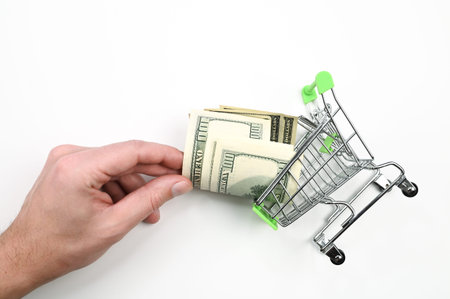 hand takes dollars from a shopping basket. High quality photo