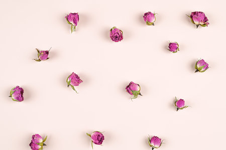 Background of small rosebuds on a beige background. High quality photo