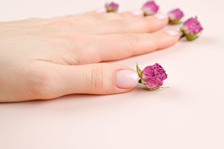 Female hand with pastel nail design. Pink nail polish manicured hand with rosebuds on background. Manicure and spa hand care concept. High quality photoの写真素材