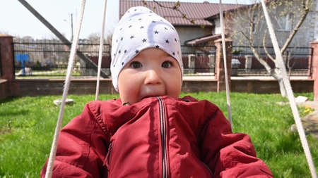 Joyful child riding on a swing, close-up.の写真素材