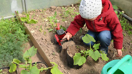 A child in a greenhouse plays with plants.の写真素材