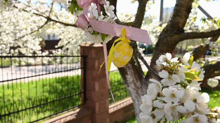 Easter eggs hang on a flowering tree.