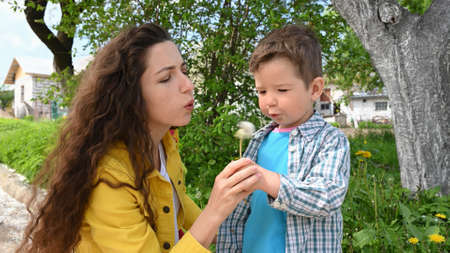 Mom and child blow out a dandelion.の写真素材