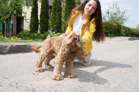 Young beautiful girl walking the dog on a sunny day.の写真素材