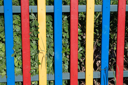 Rainbow multicolored wooden fence, close upの写真素材