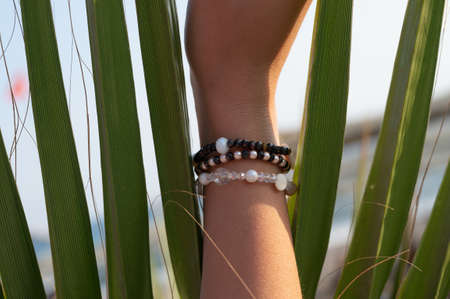 Female hand near palm leaf.の写真素材