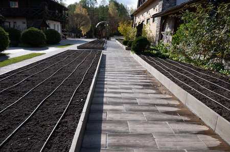 Drip irrigation system on warm beds. Growing conceptの写真素材