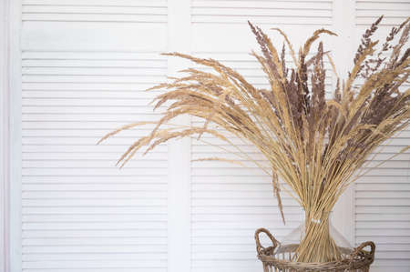 Modern home decor with dried grass in vase on white wooden background with copy space.Stylish Scandinavian cozy interiorの写真素材