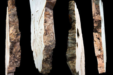Pieces of wood isolated on black background. Texture of a polished cut of a tree close-up. Side view. Woodworking, carpentry production.の写真素材