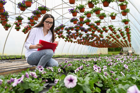Young woman working in beautiful garden center. Growing flowersの写真素材