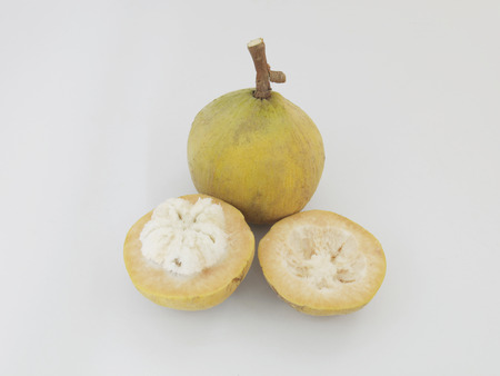 Santol fruit isolated on white backgroundの写真素材