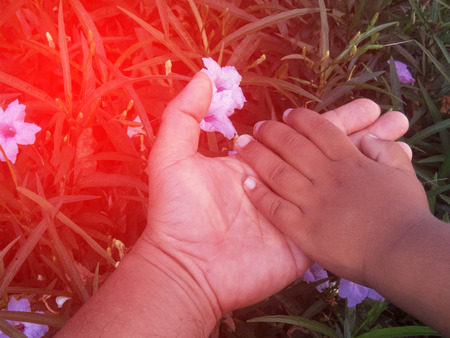 a parent hold the hand of a small childの写真素材