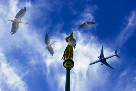 Cloudy blue sky a plane and bird with selective and soft focus.の写真素材