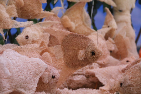 fish luffa. for health