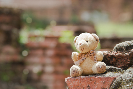 Toy teddy bear Brick wall backgroundの写真素材