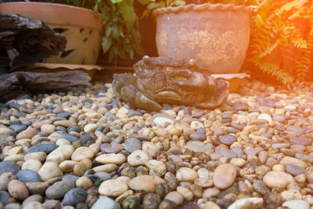 Stone rocks gravel and plants in gardenの写真素材