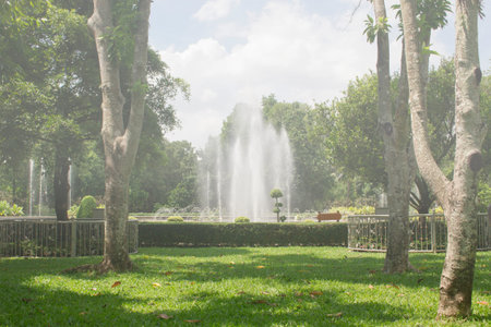 The fountain in the parkの写真素材