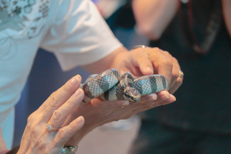 Sea snakes in hand