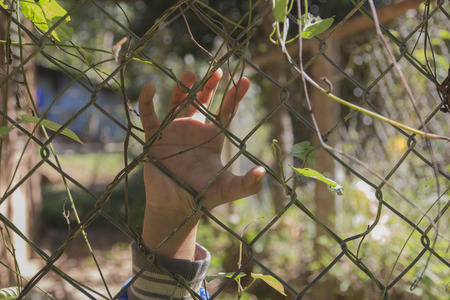 hand with metal fence,no freedom,の写真素材