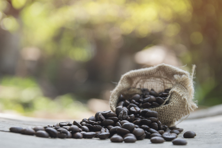 Coffee beans with burlap sack nature green backgroundの写真素材