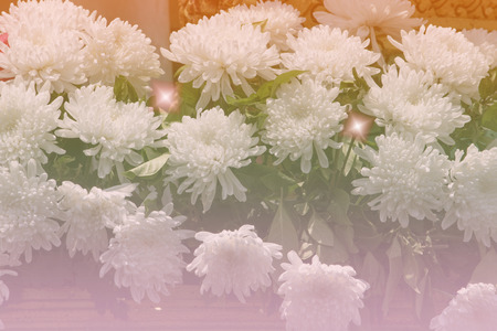 The Rainbow Flower Ring Fring frung Valentine Background sweet colorの写真素材