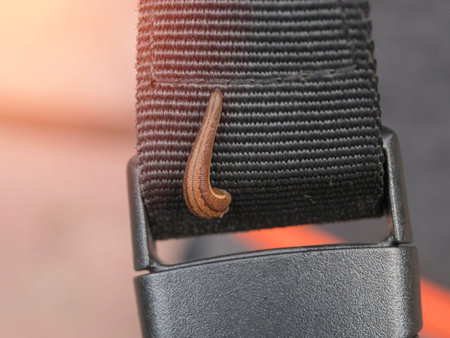 Slug Climb into the bag