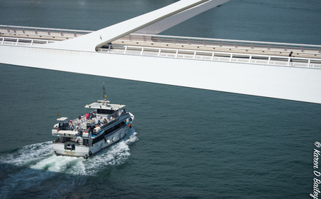 Barcelona Cruise Terminalのeditorial素材