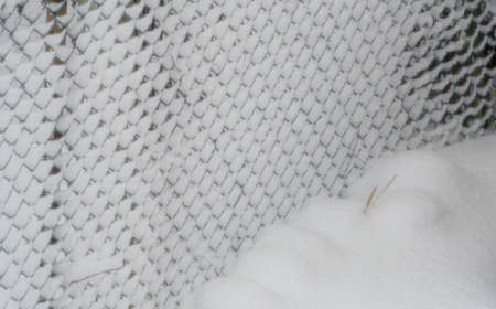 Fresh snow shot in the daylight collecting on various types of fencingの写真素材