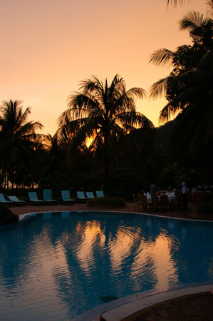 sunset at a swimmingpool with palm silhouetteの写真素材