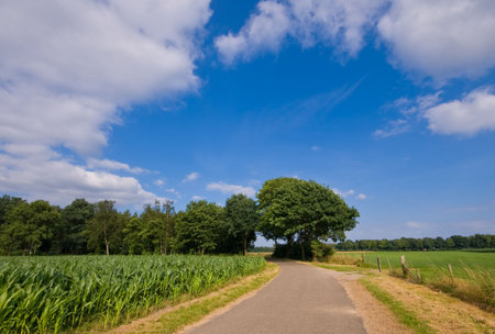 county road in a rural environment with clouds in the back