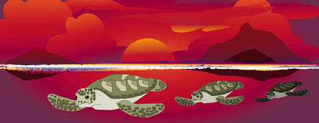 three sea turtles swimming at a colorful sunsetのイラスト素材