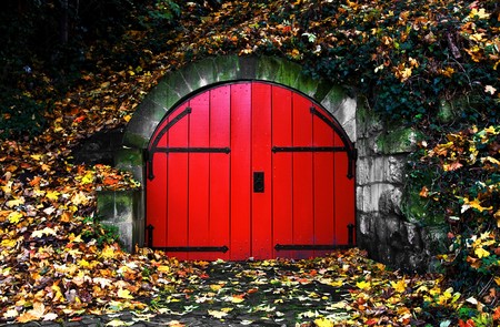 old red door covered in autumn leavesの写真素材