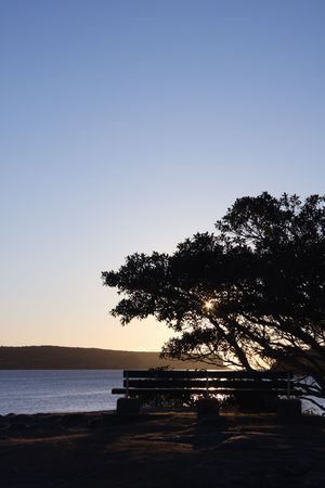 Bench and tree silhouetted against a coastal sunriseの写真素材