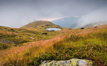Foggy Mountain Landscape with a Tarnの写真素材
