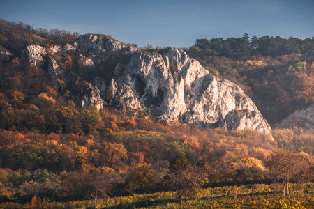 Beautiful Autumn Landscape with Limestone Rocks of Palava Protected Area in South Moravia, Czech Republicの写真素材