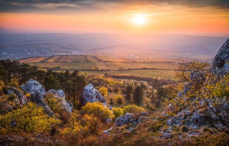 Colorful Autumn Sunset over Vineyards as Seen from Rocky Hill in Palava Protected Area near Mikulov in South Moravia, Czech Republicの写真素材