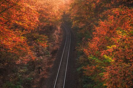 High Angle View of Empty Railway in Autumn Forest with Colorful Treesの写真素材