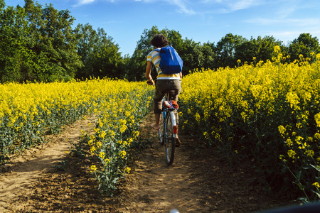 young caucasian man biking through a field of rapeseedsの写真素材