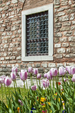Istanbul, Turkey, 12 April 2007: Tulips of Topkapi Palace のeditorial素材